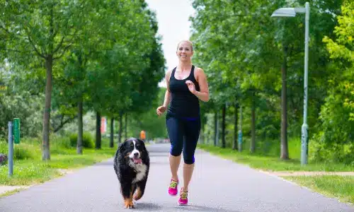 A woman in workout attire joyfully jogs down a lush green park path with her Bernese Mountain Dog, both radiating health and happiness, epitomizing the active lifestyle and mental well-being that comes from exercising with a pet.