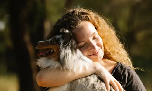 A content woman with curly hair warmly embraces her Australian Shepherd dog in a sun-dappled forest, closing her eyes in a peaceful moment that captures the loving bond and emotional comfort pets provide to their owners.