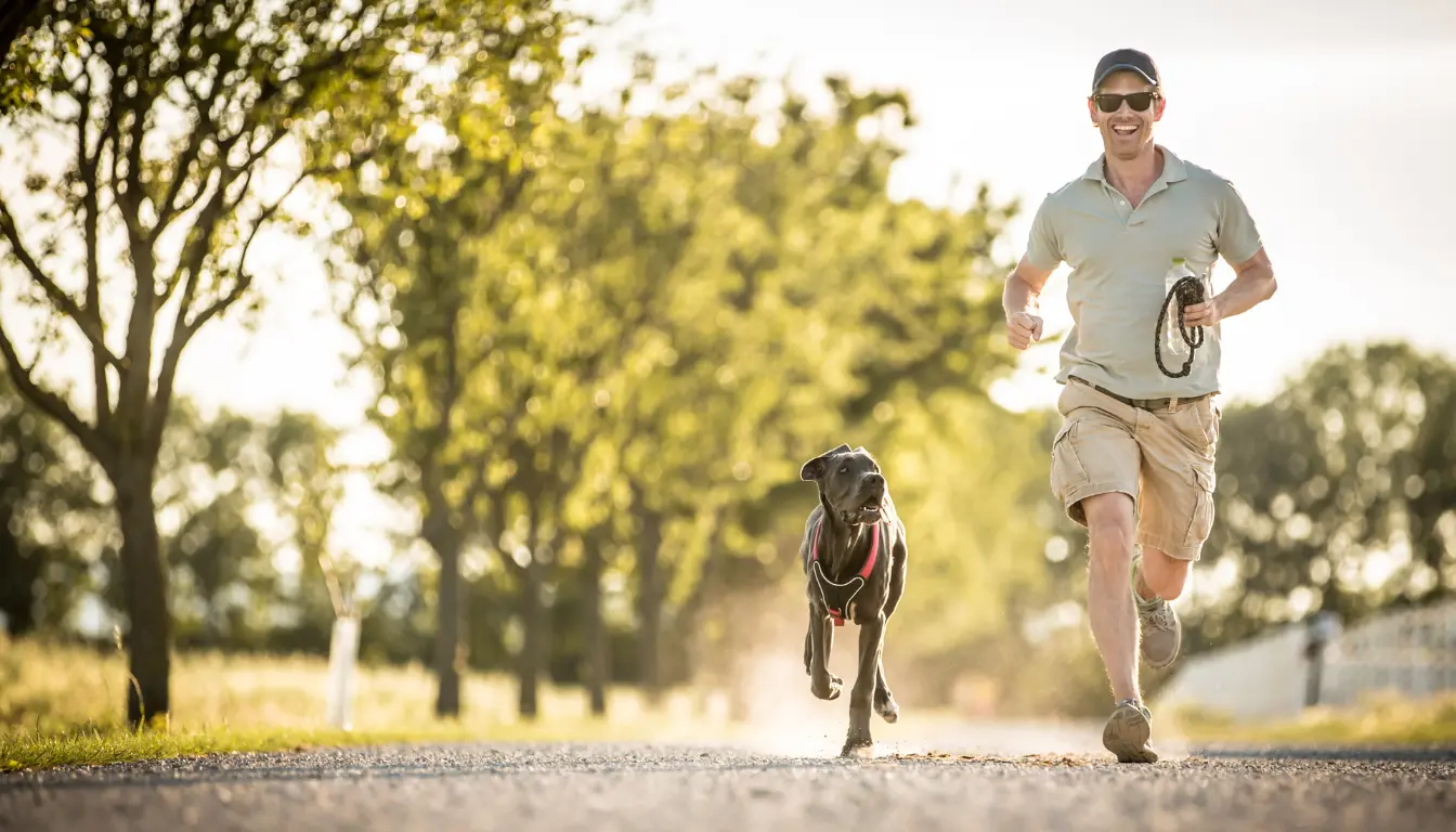 Man running with his dog off-leash in a park, showcasing the joy and freedom of a well-trained and obedient pet.