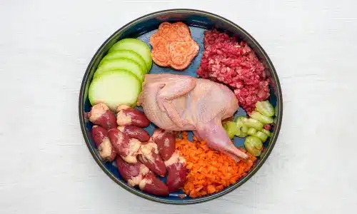 Assorted raw ingredients for dog food in a bowl, including chicken, beef, carrots, and apples, featured in 'Discover the Best Dog Food: A Guide for Healthy, Happy Pets.