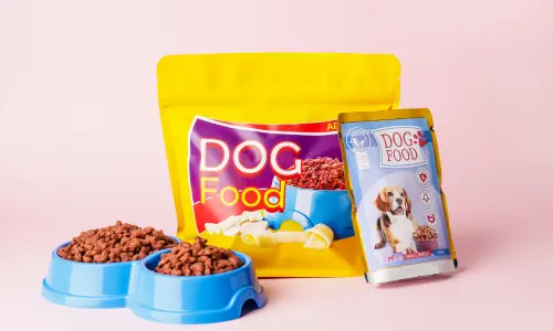 Variety pack of dog food in bags and bowls, showcasing options for the best dog food as recommended in 'Discover the Best Dog Food: A Guide for Healthy, Happy Pets.